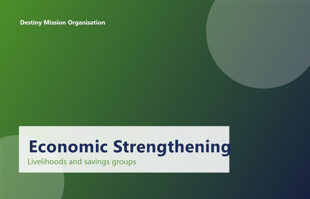 Economic Strengthening